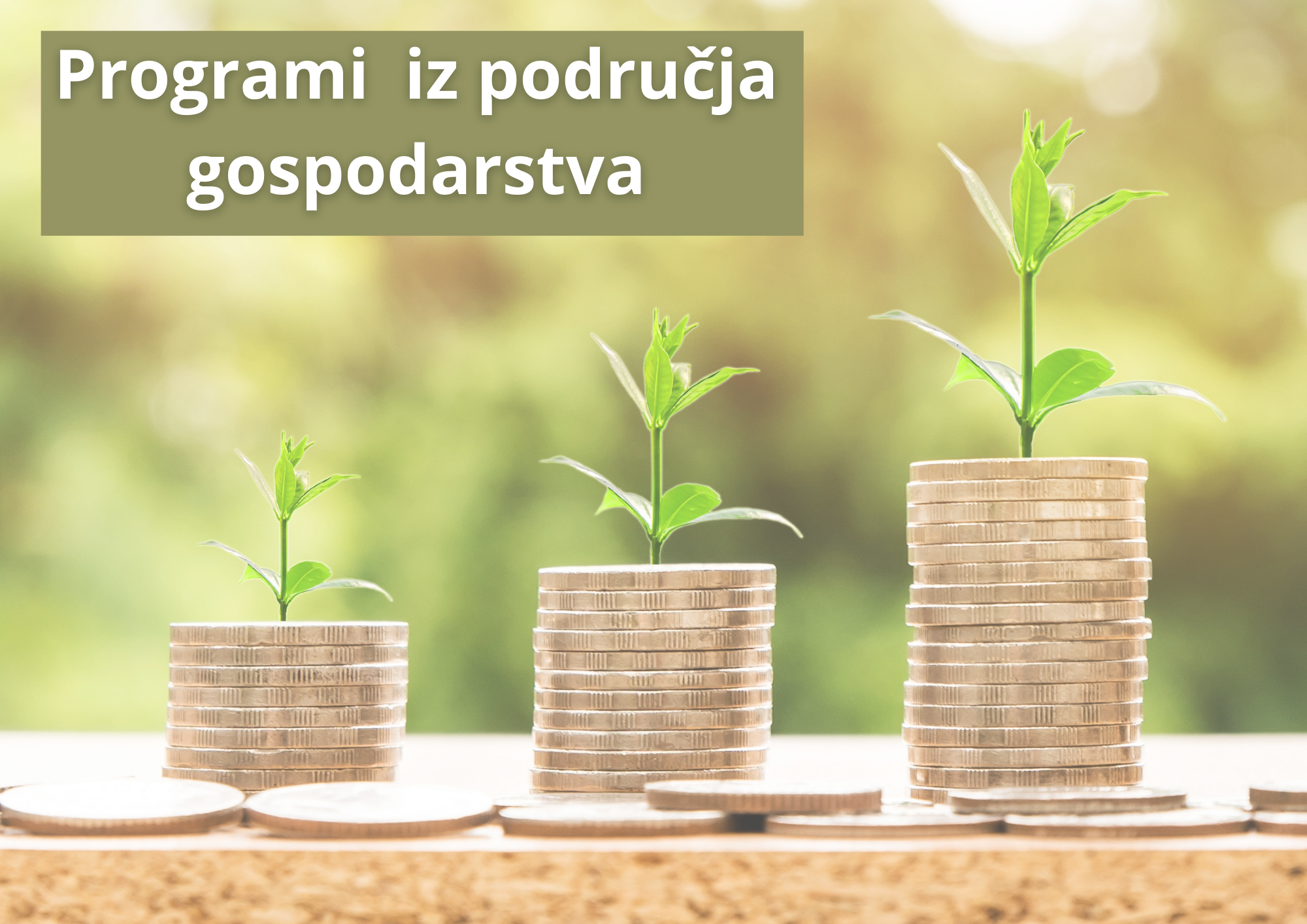 Programi iz područja gospodarstva