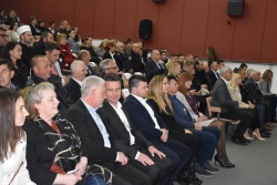 Vojnic dan opcine