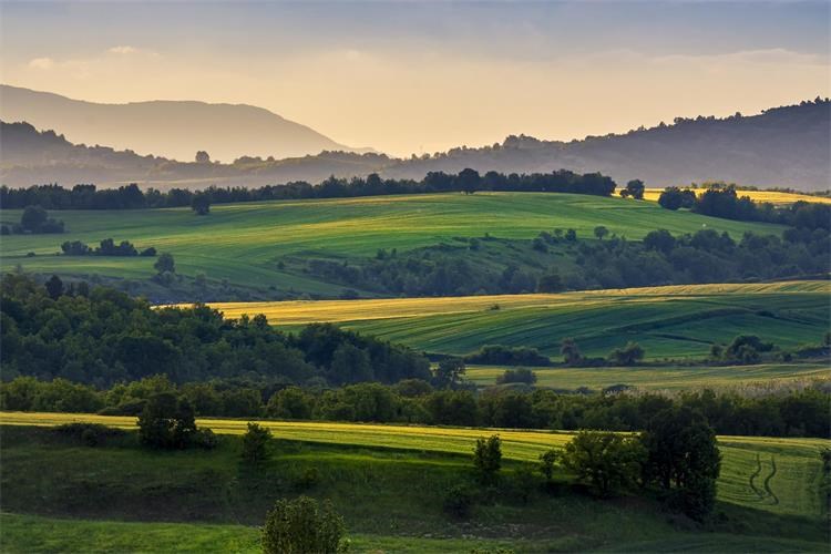 Komasacija zemljišta