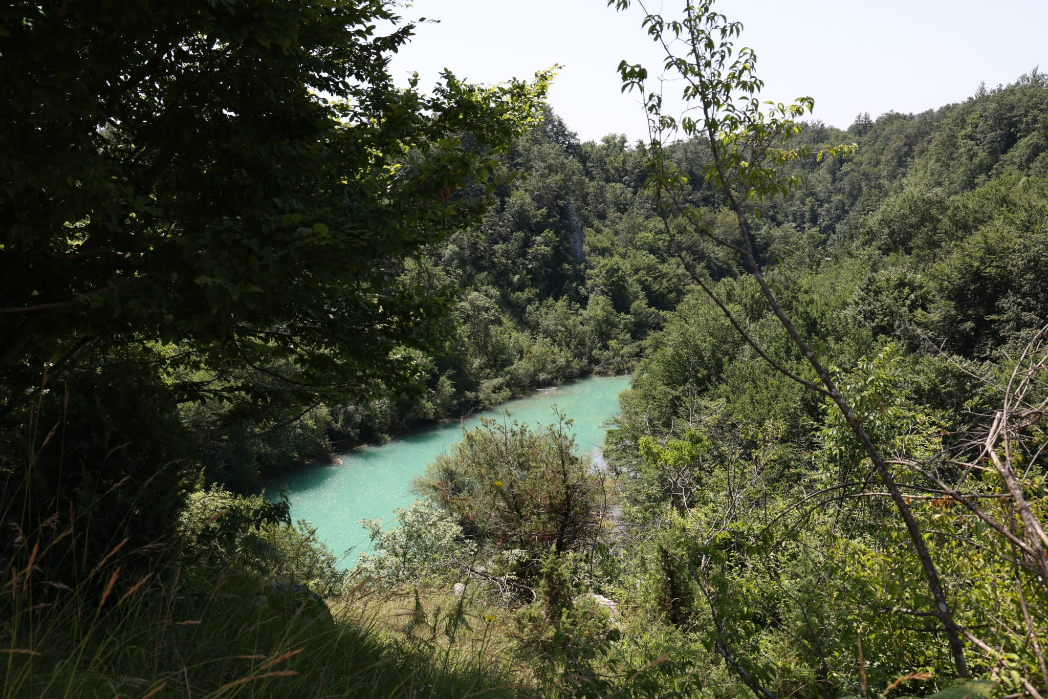 korana