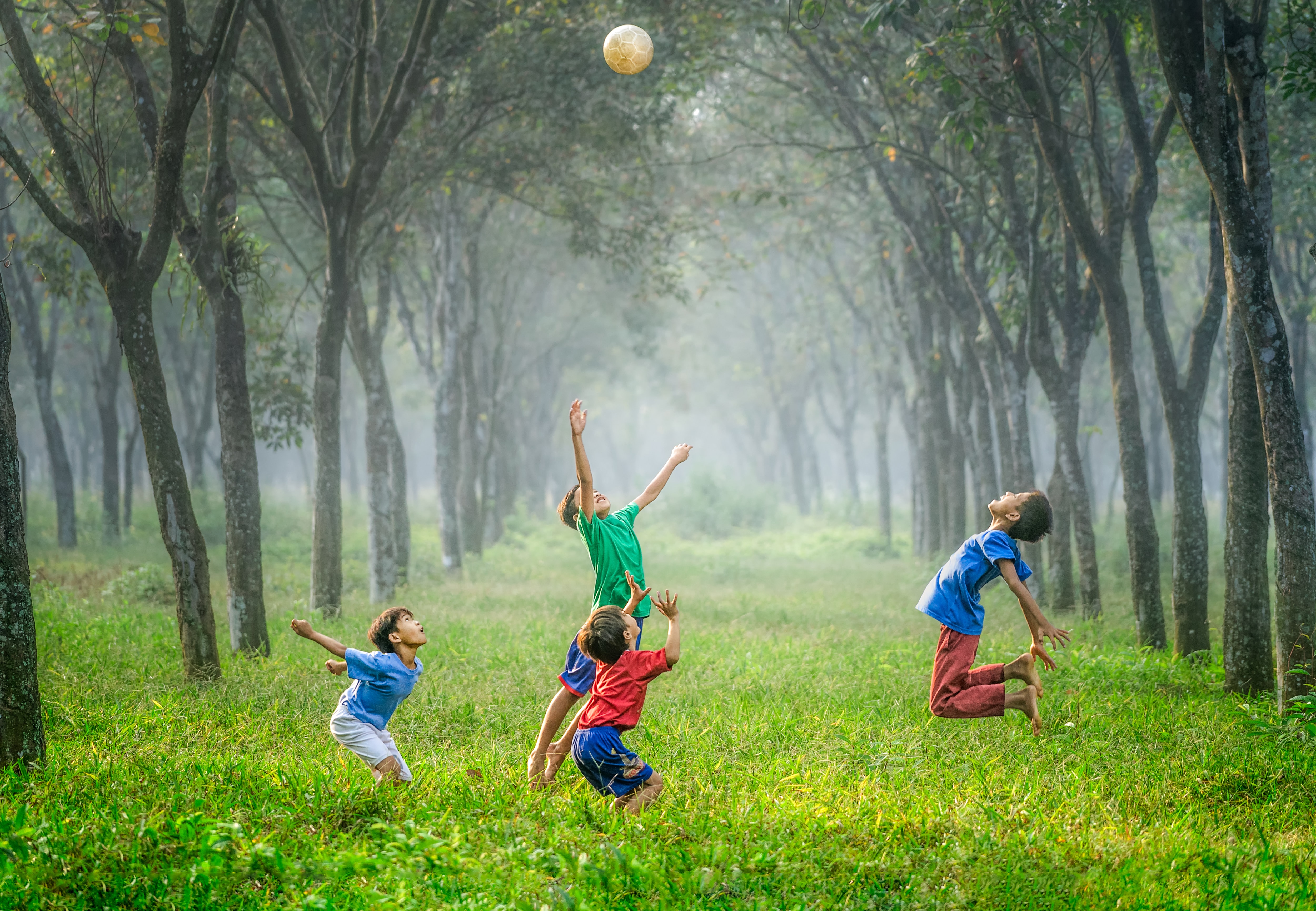 robert collins tvc5imO5pXk unsplash