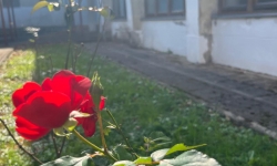 Počinje energetska obnova Gimnazije Ogulin; županica: „Ponosni smo na sve projekte koje smo pokrenuli!“