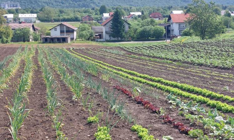 Zelena javna nabava: Naš model prepoznat i uvršten kao kriterij za europska sredstva!